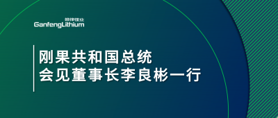 刚果共和国总统会见尊龙凯时董事长李良彬一行